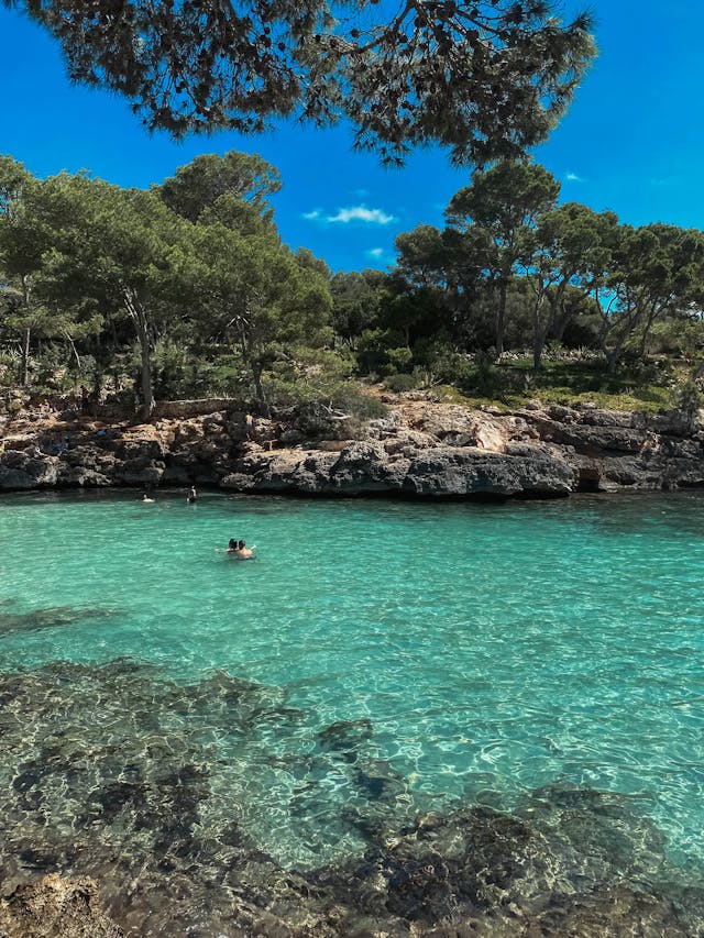Mallorca Esencial: Costa, Cultura y Calas - 5 Días - Imagen 8